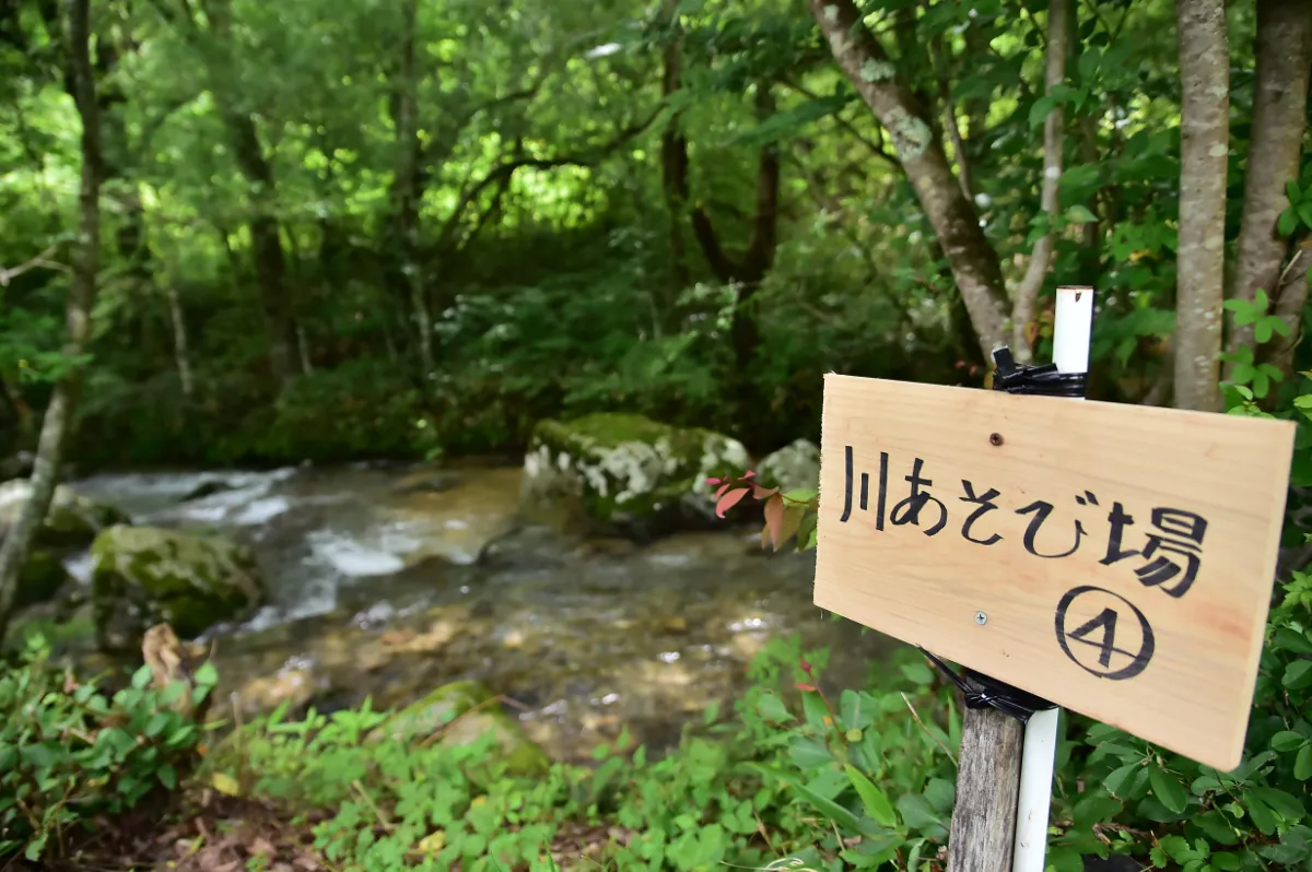 ブルーベリー園 花の谷2