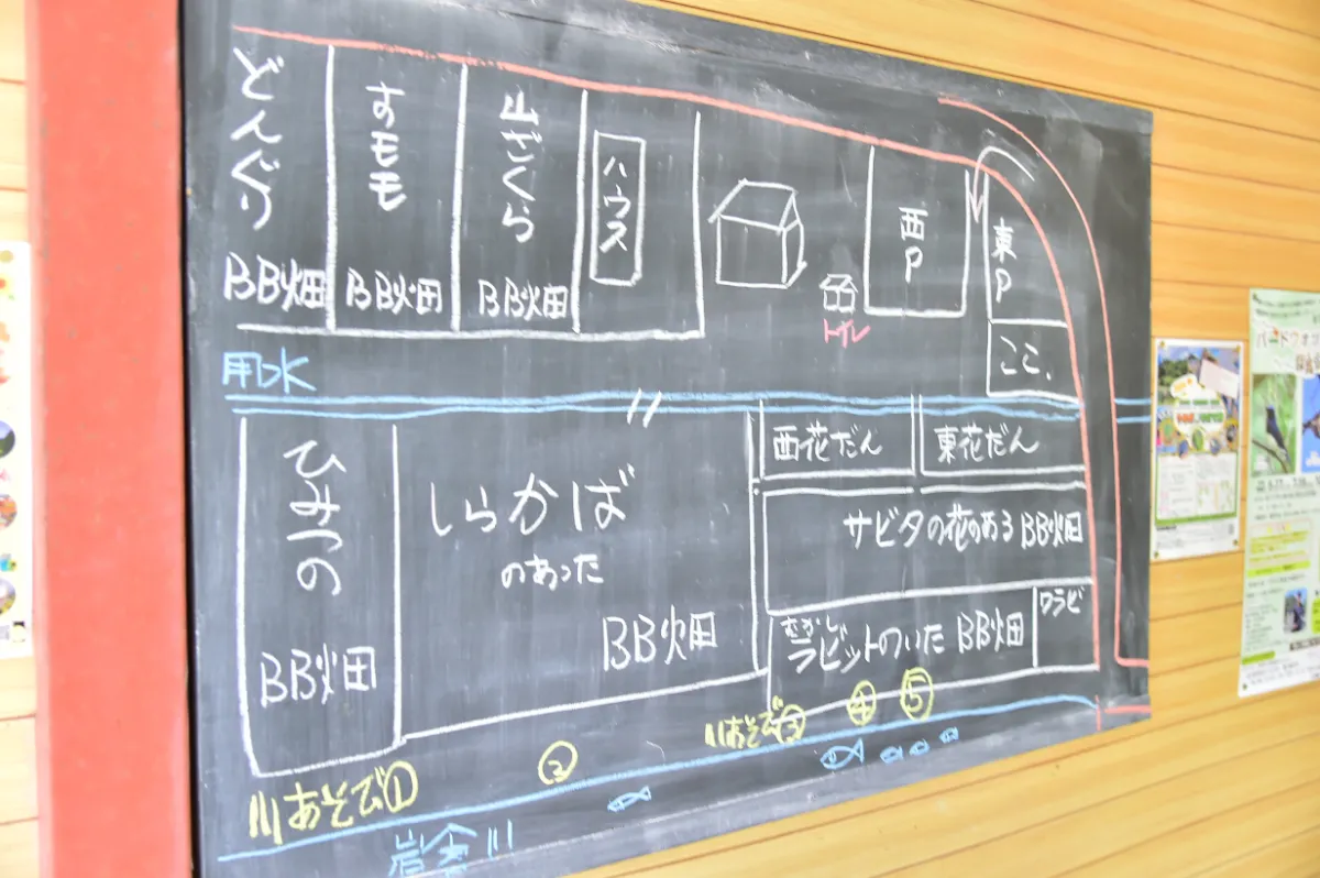 ブルーベリー園 花の谷