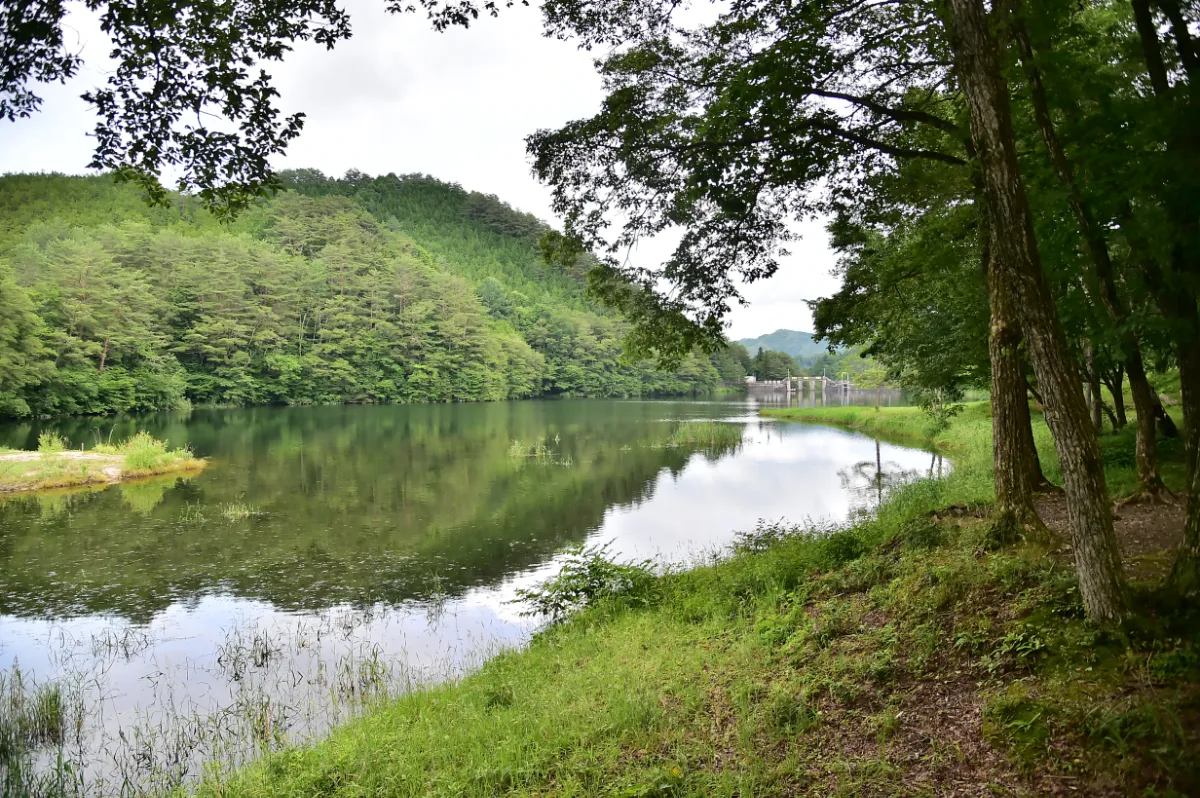 岩倉ダム1
