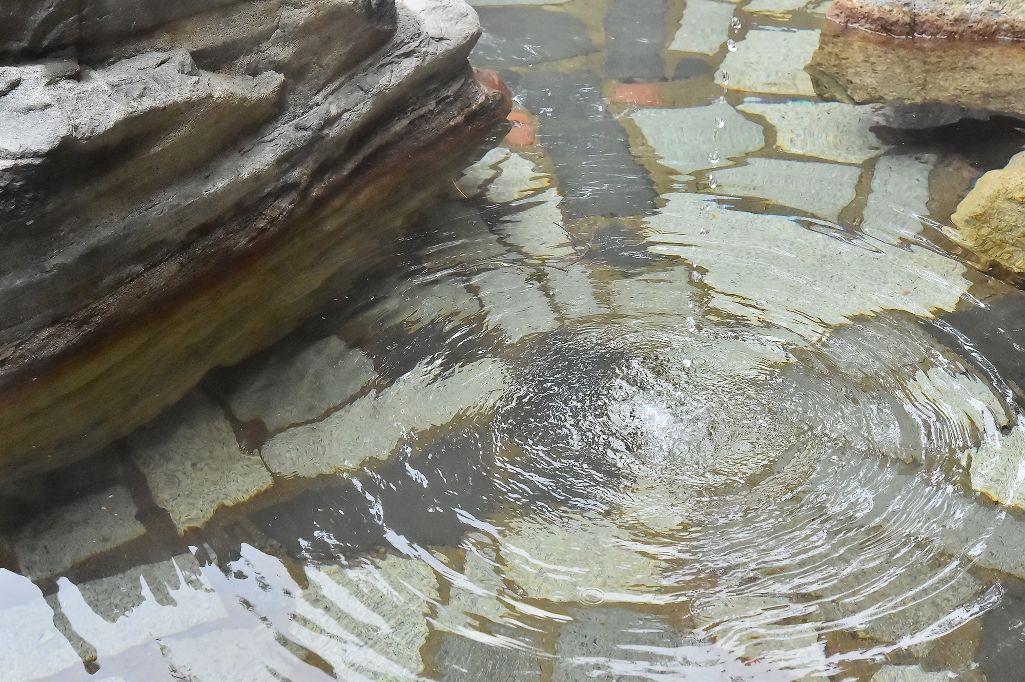 こんこんと湧く温泉の湯口