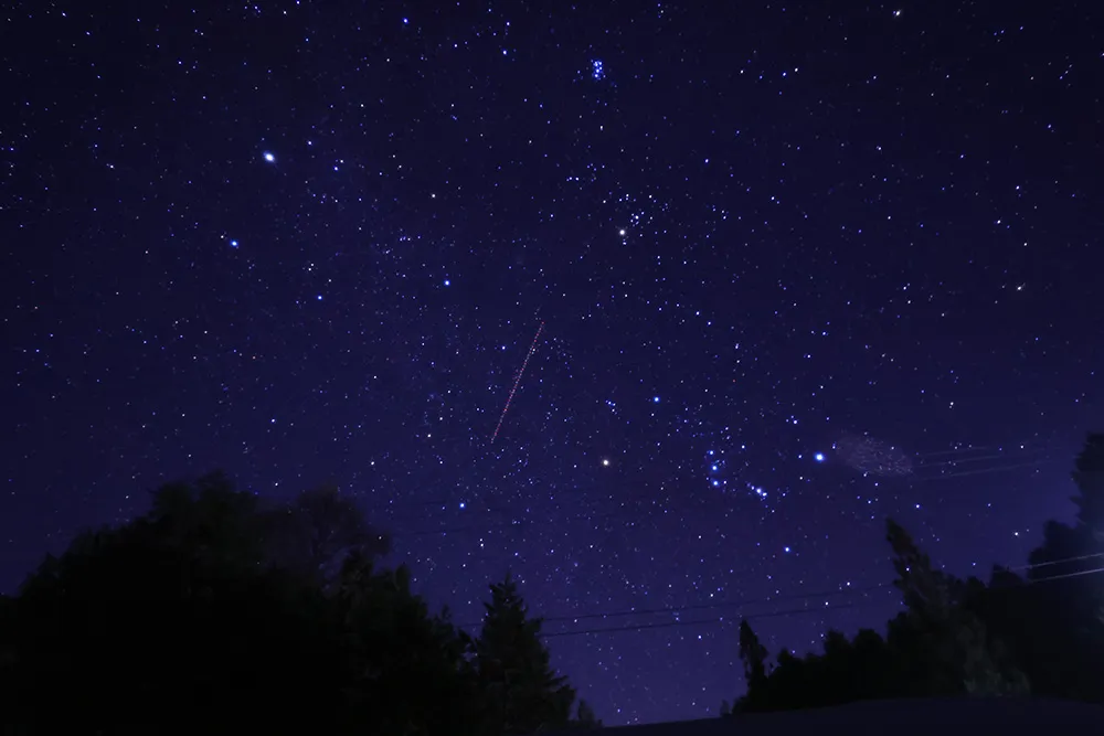流れ星と木々のシルエット